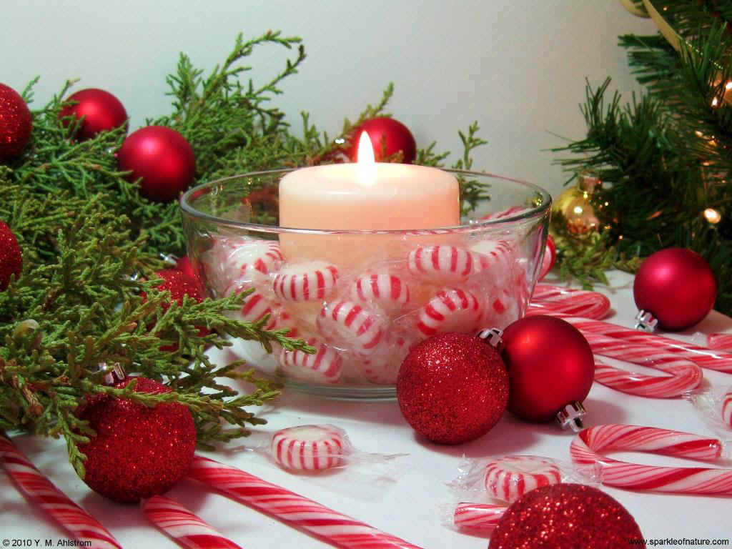 10461 peppermint candle 1024x768.jpg (143912 bytes)