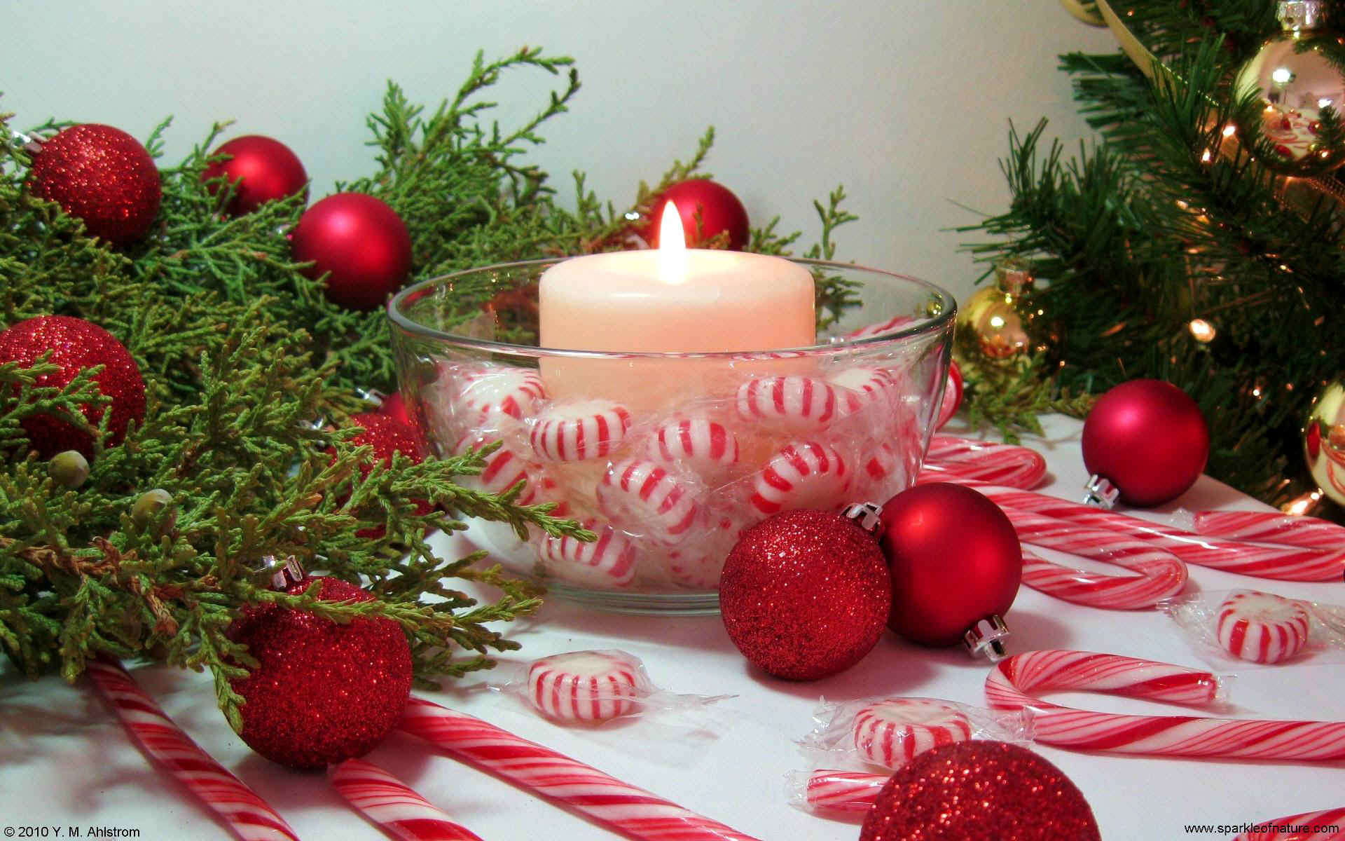 10461 peppermint candle w 1920x1200.jpg (339938 bytes)