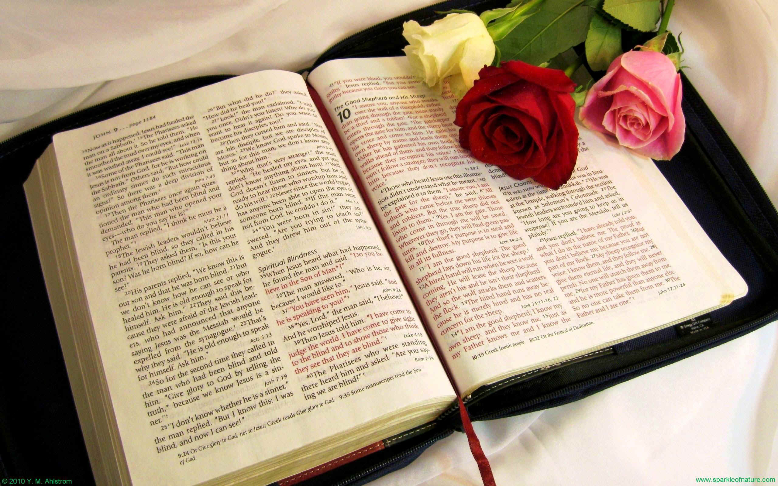 14373 bible with roses w 2560x1600.jpg (619675 bytes)
