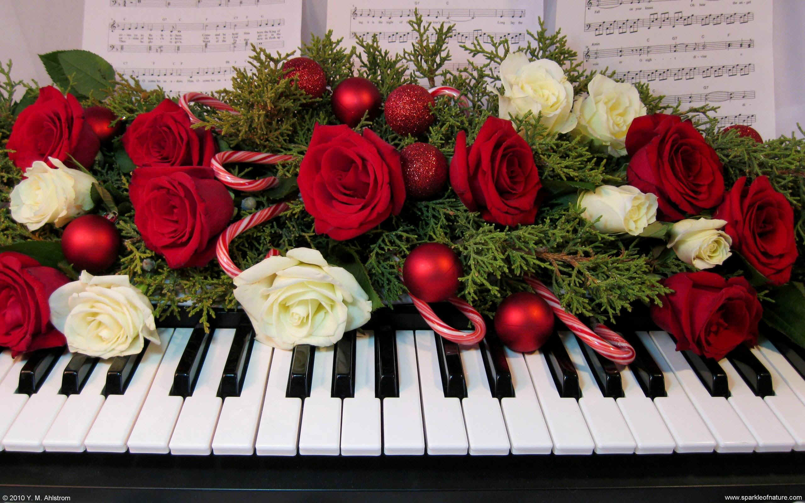 16015 christmas keyboard w 2560x1600.jpg (495161 bytes)