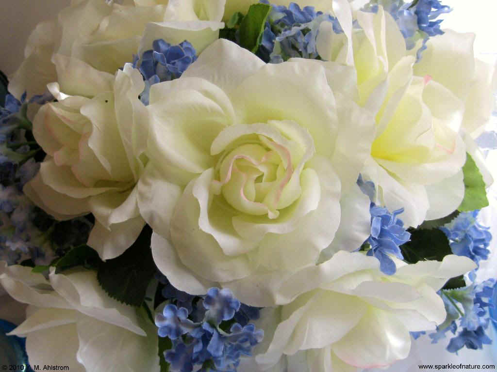 1662 white and blue bouquet 1024x768.jpg (93862 bytes)