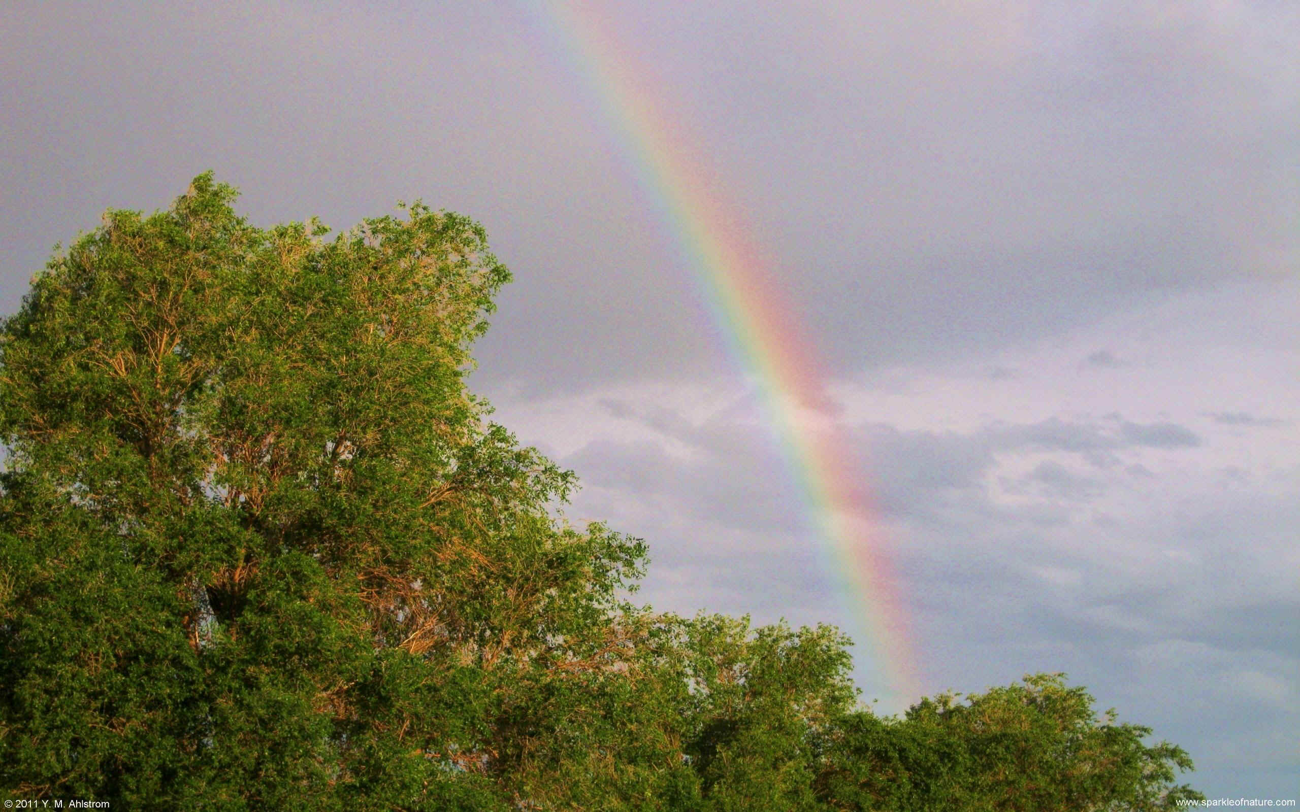 26230 rainbow w 2560x1600.jpg (574984 bytes)