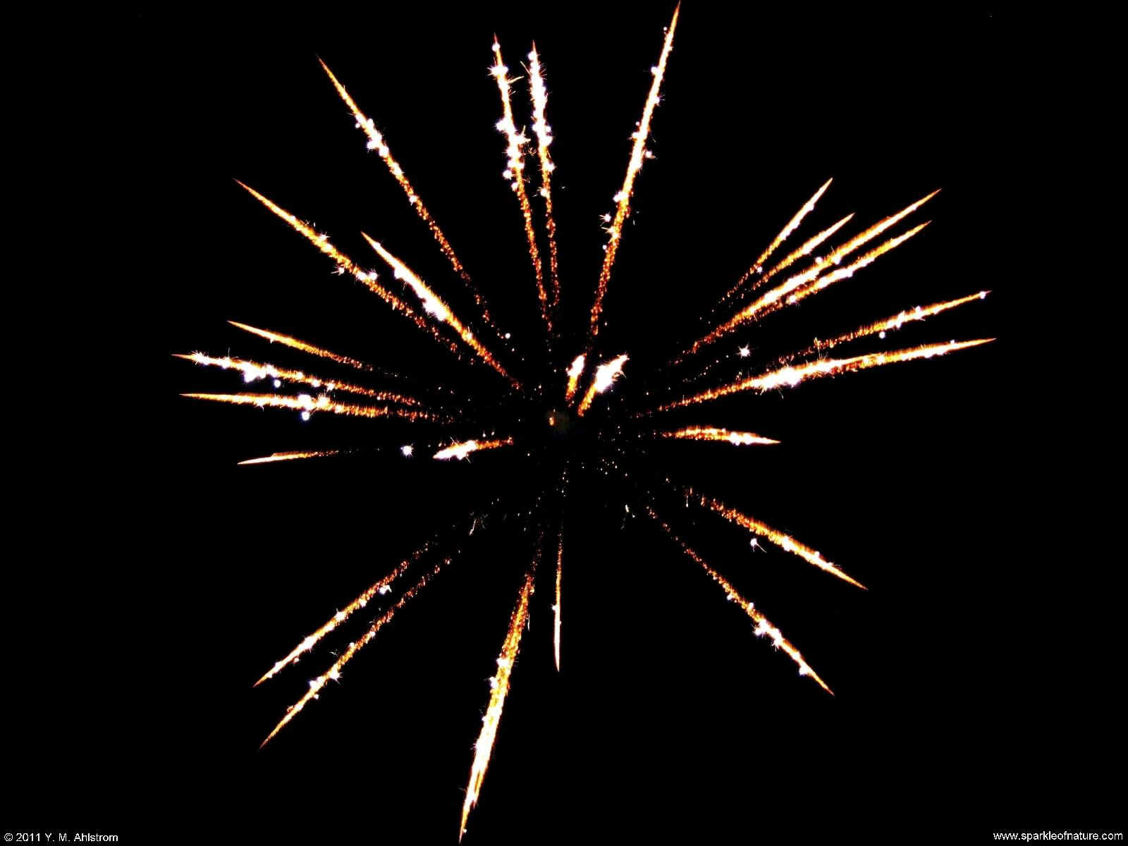 26285 firework 1600x1200.jpg (127252 bytes)