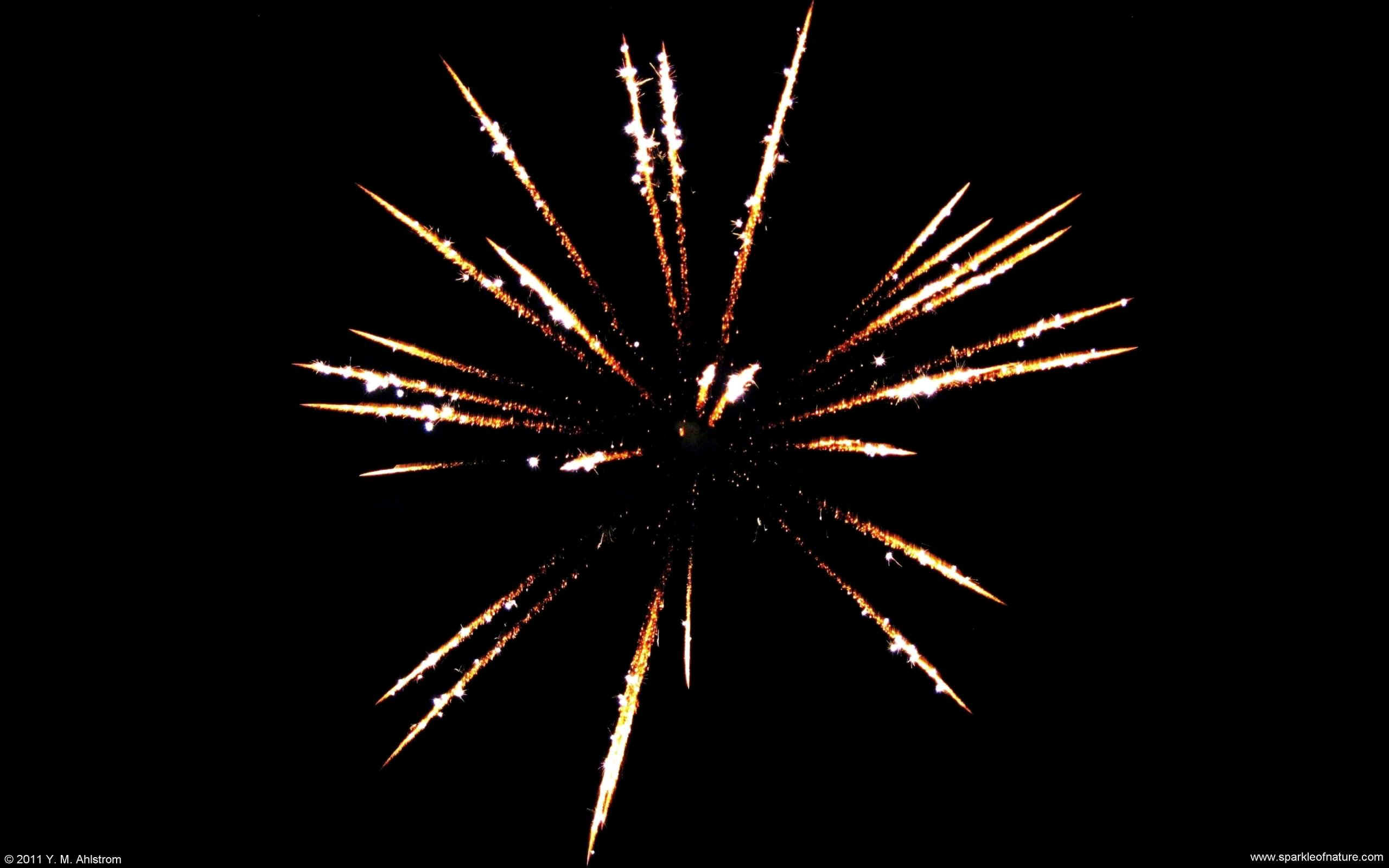 26285 firework w 2560x1600.jpg (187263 bytes)