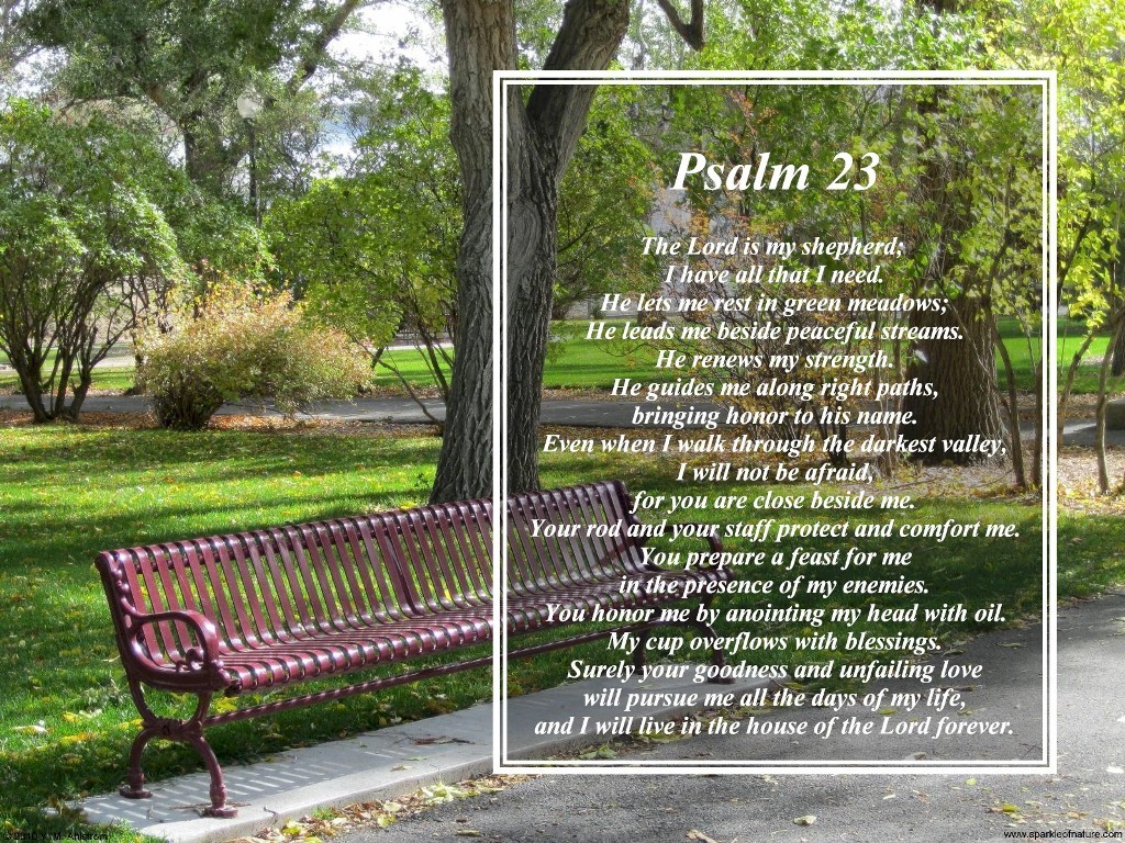 6756b psalms 23 1024x768.jpg (421142 bytes)