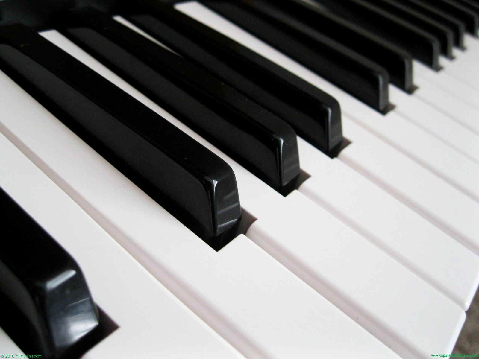 9166 piano keys 1 1600x1200.jpg (135522 bytes)