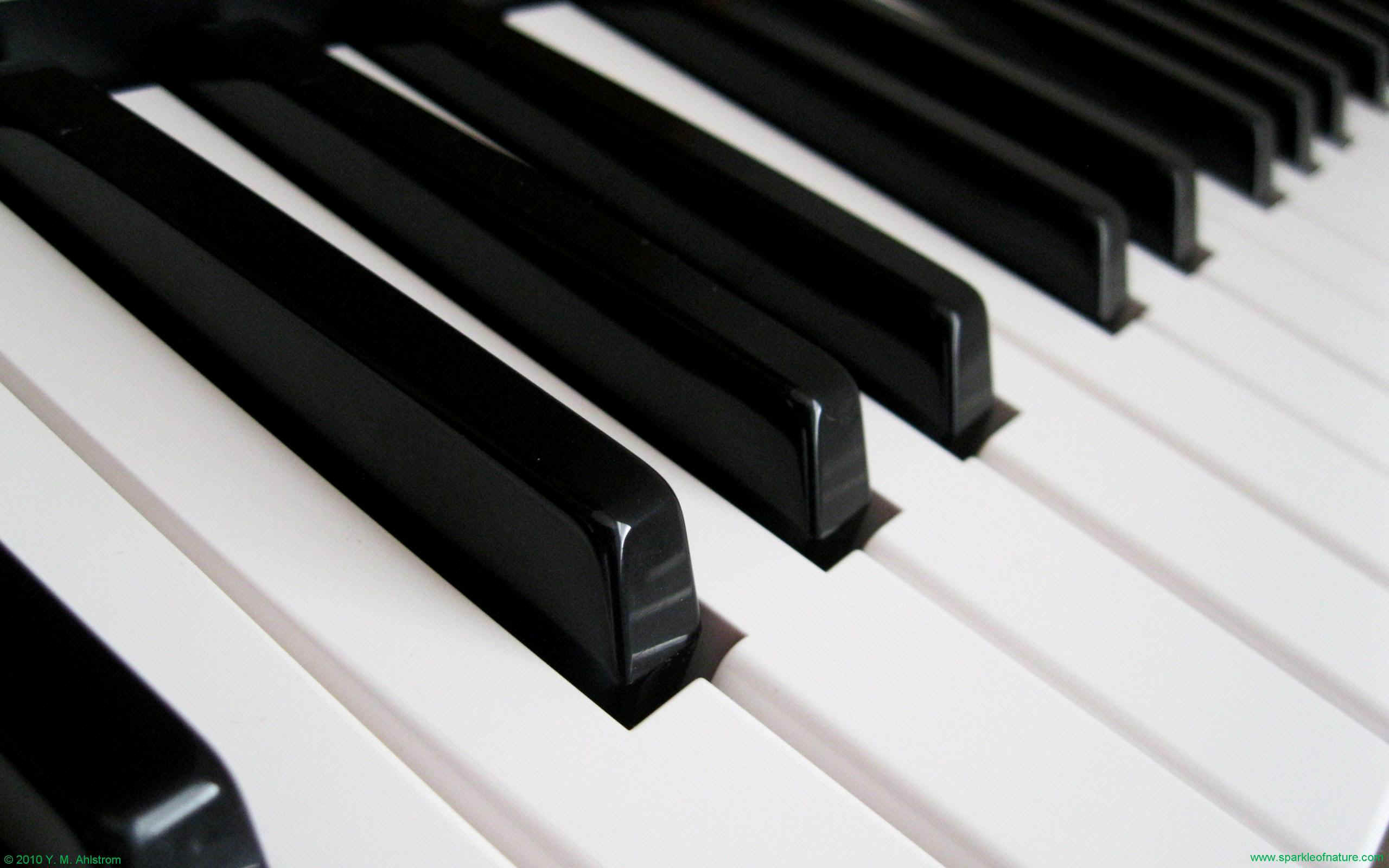9166 piano keys 1 w 2560x1600.jpg (265916 bytes)