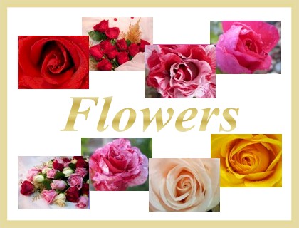 Flowers Category