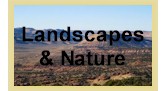 Landscapes & Nature Category